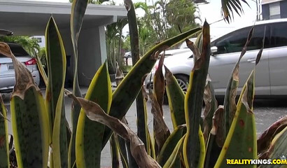 Ted Cruz did nothing wrong except a hot threesome