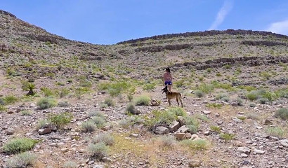 Naughty milf in thongs fucks her stepson outdoors